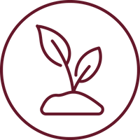 Biodynamic Biodynamic