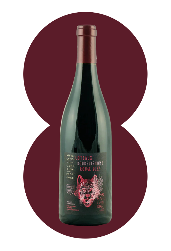 AOP Coteaux Bourguignons Gamay 2022