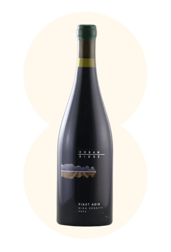 High Density Pinot Noir 2024