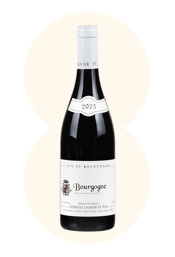 AOC Bourgogne Rouge Pinot Noir 2023