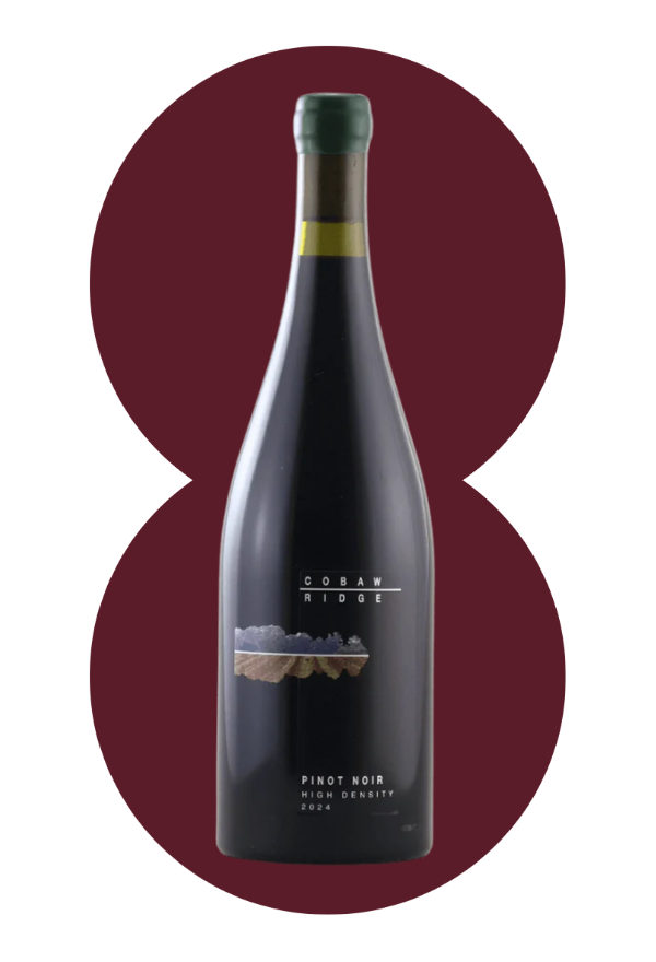 High Density Pinot Noir 2024