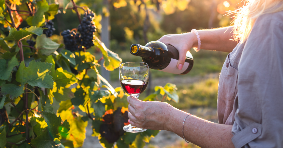 Vino Better Organic | Sustainable & Organic Wine