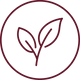 Vegan